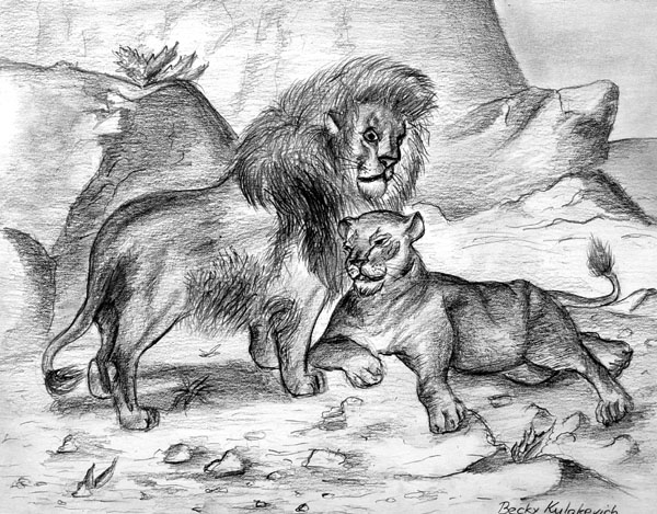 Lion
