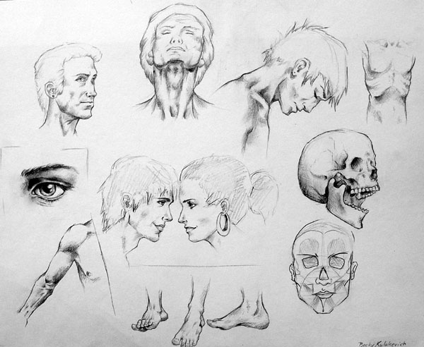 Sketches_(Anatomy)