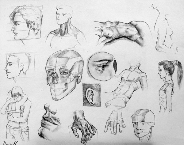 Study_1