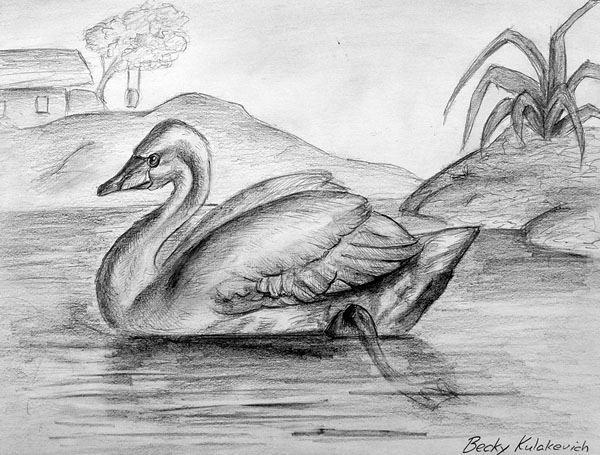 Swan