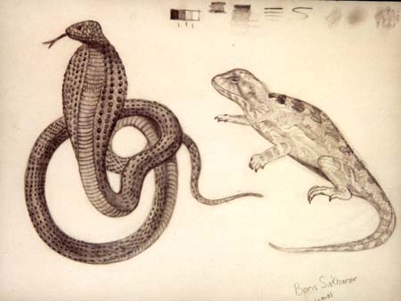 Snake_and_lizard._(study)