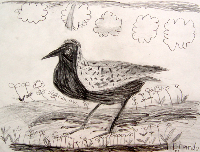 Bird_2
