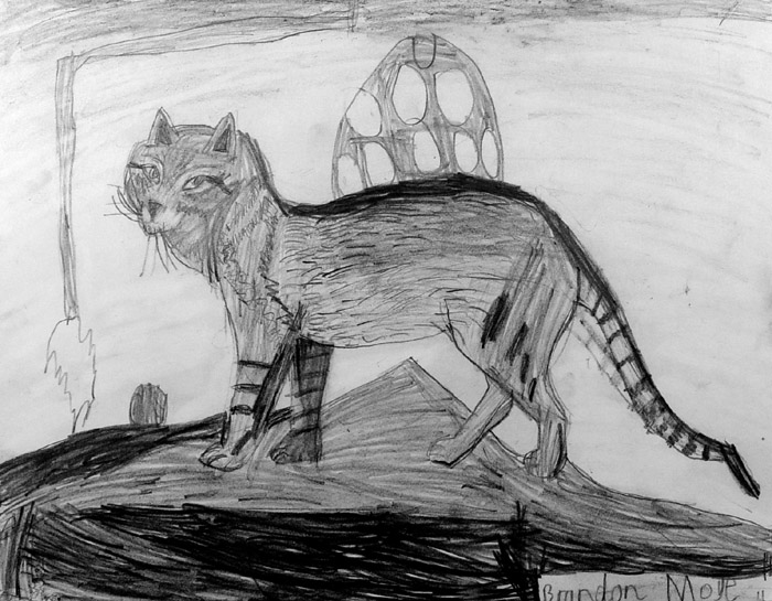 Wild_cat
