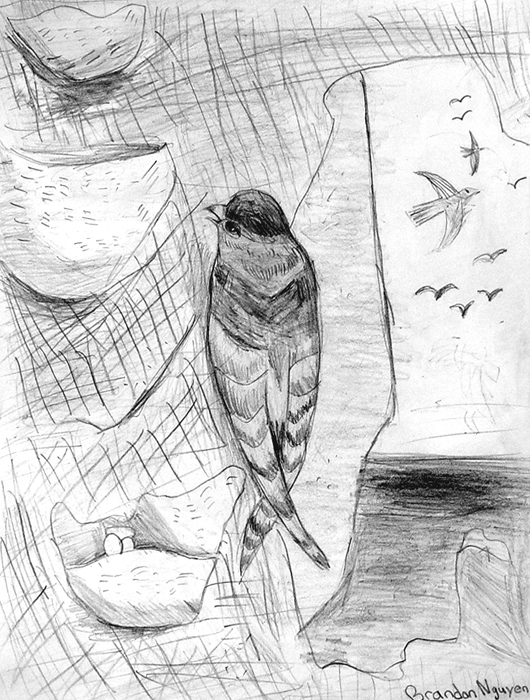 Bird_3