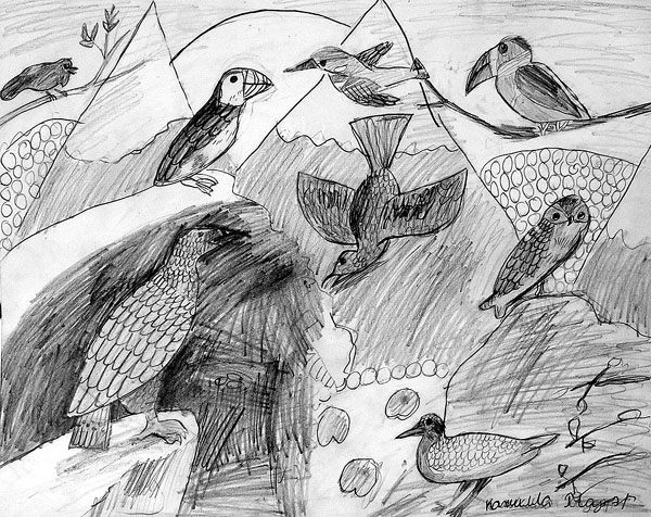 Birds
