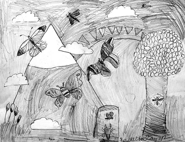Butterflies