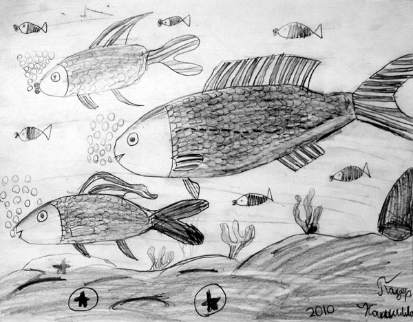 Fish
