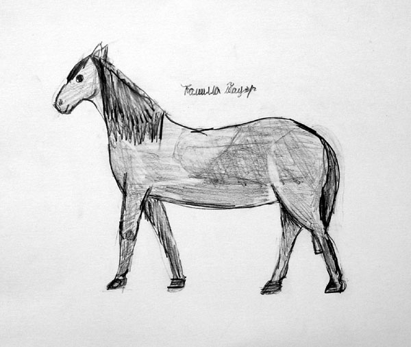 Horse_2