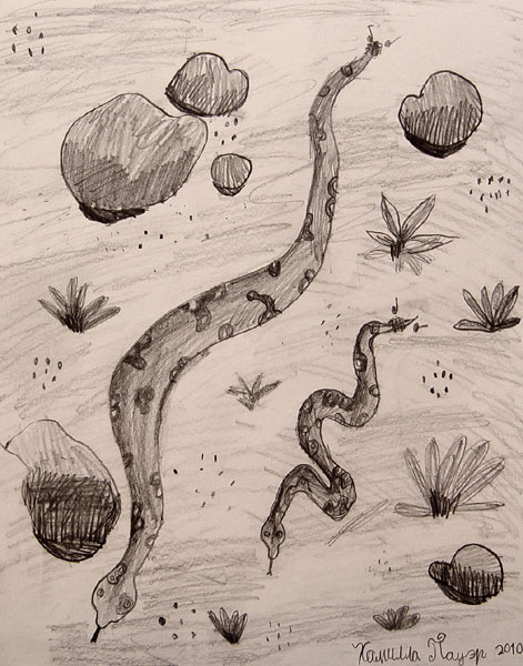 Snakes