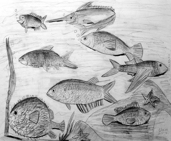 Fishes