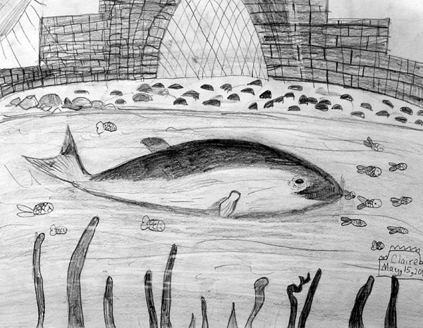 Whale