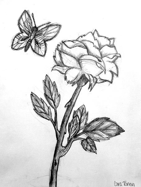 A_rose_and_a_butterfly