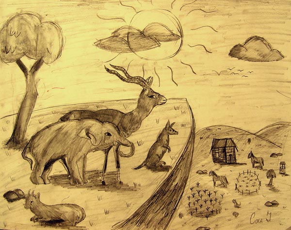 Animals_2