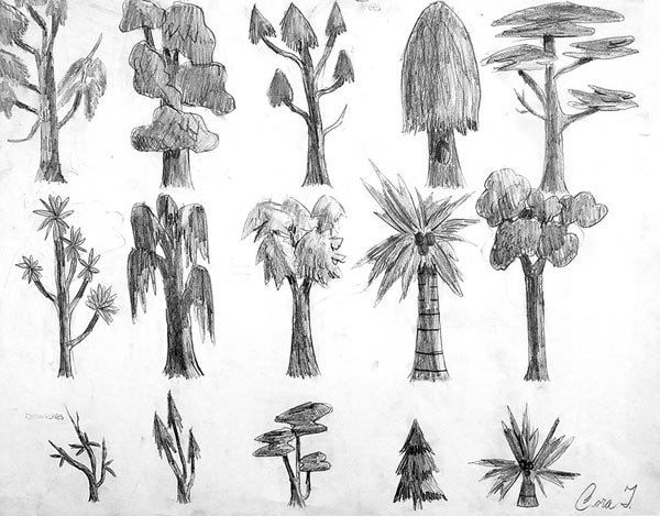 Sketches_(trees)