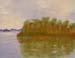 Landscape_6