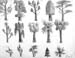 Sketches_(trees)