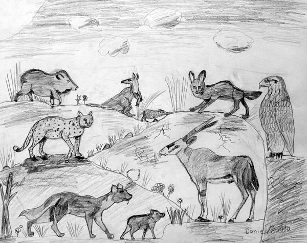 Animals_2