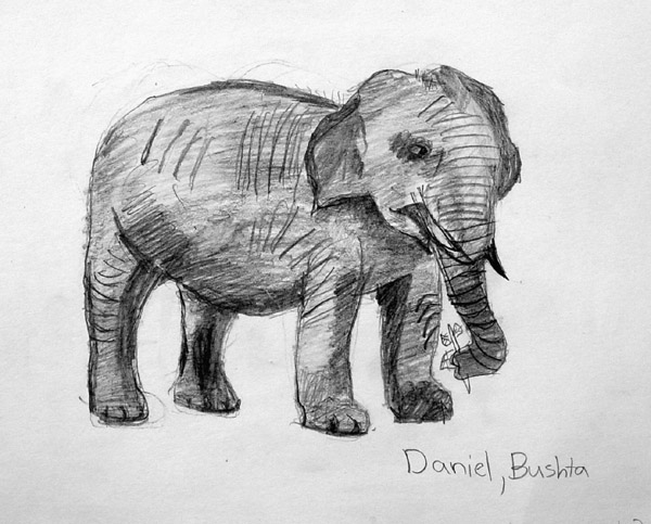 Elephant