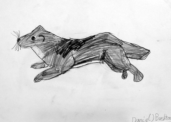 Image_1