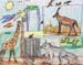 Zoo