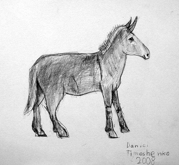Donkey
