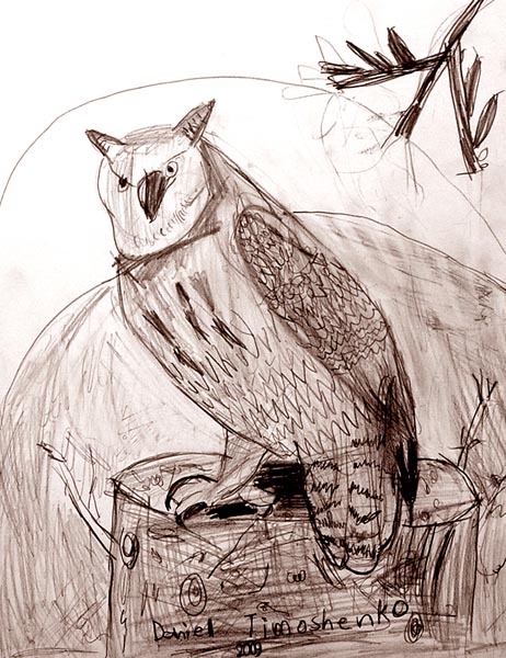 Owl