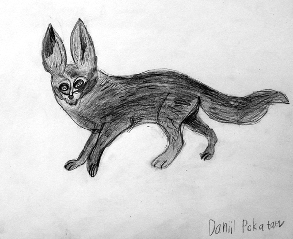Fox
