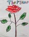 Rose_2
