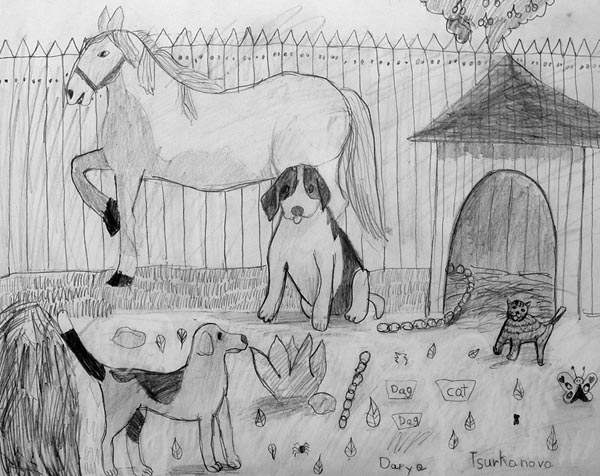 Animals_1