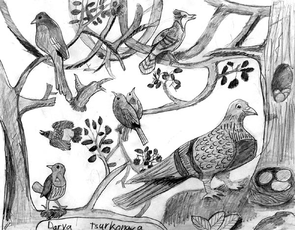 Birds