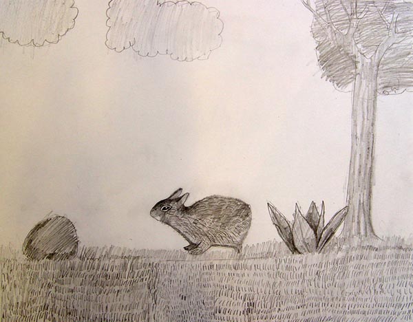 Bunny