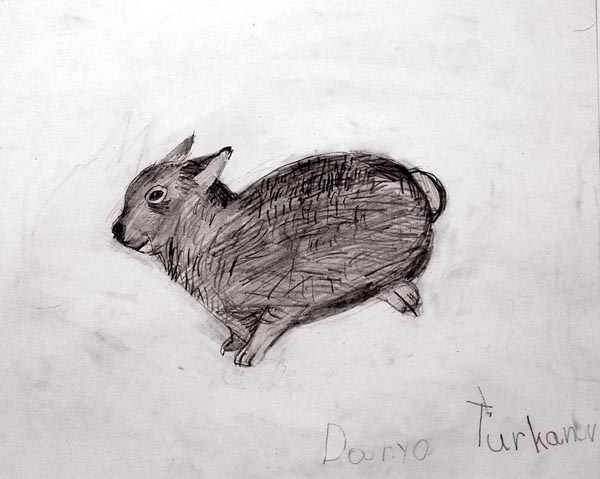 Rabbyt