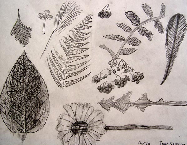 Sketches_1