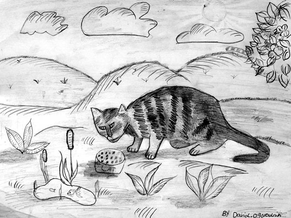 Cat