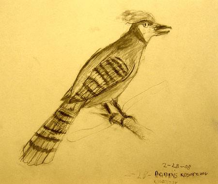 Bird