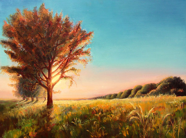 Landscape_2012