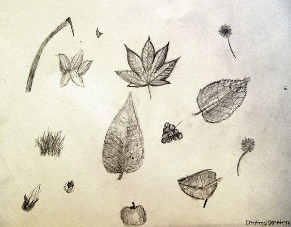 Sketches_(leaves)