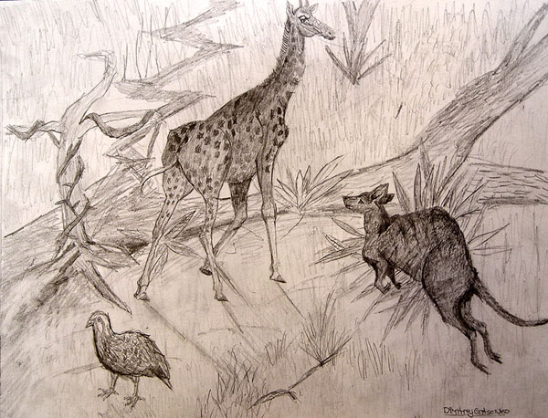 Sketches_2