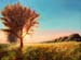 Landscape_2012