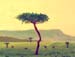 Landscape_4