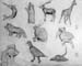 Sketches_1