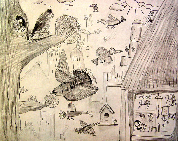 Birds