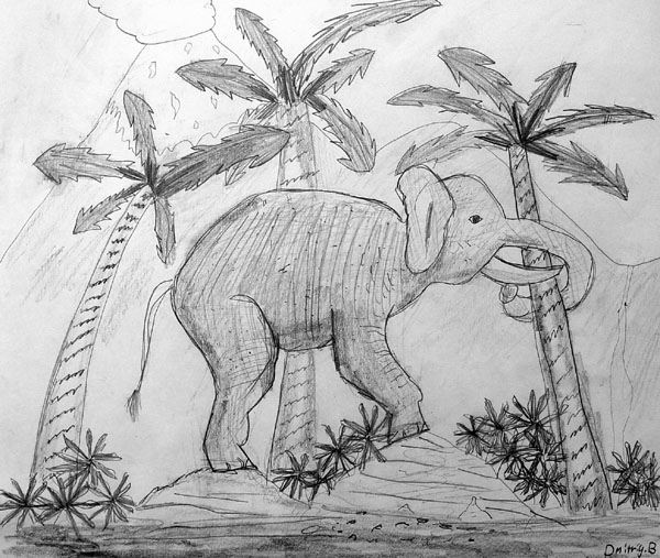 Elephant