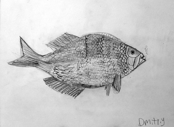 Fish