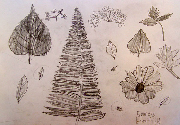 Sketches_1