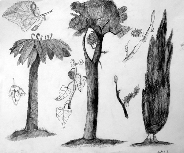 Sketches_2