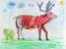 Elk