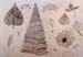 Sketches_1