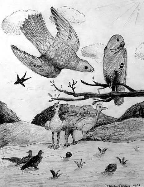 Birds