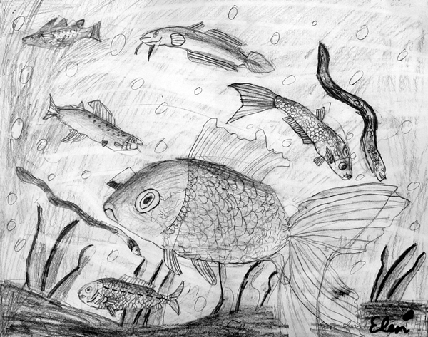 Fish